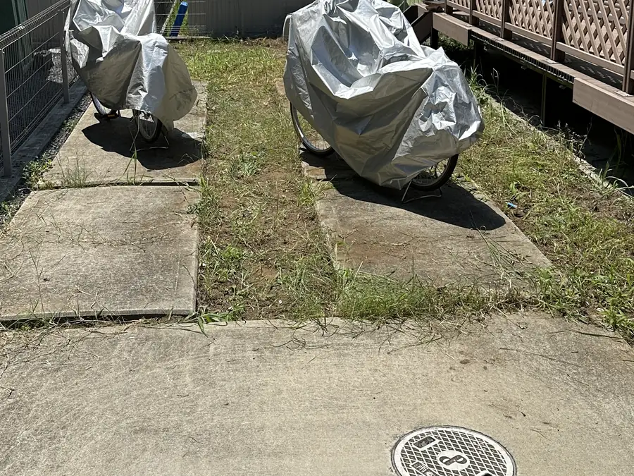 作業後。同じ通路の草を刈り取り、地面が見えるようになった様子