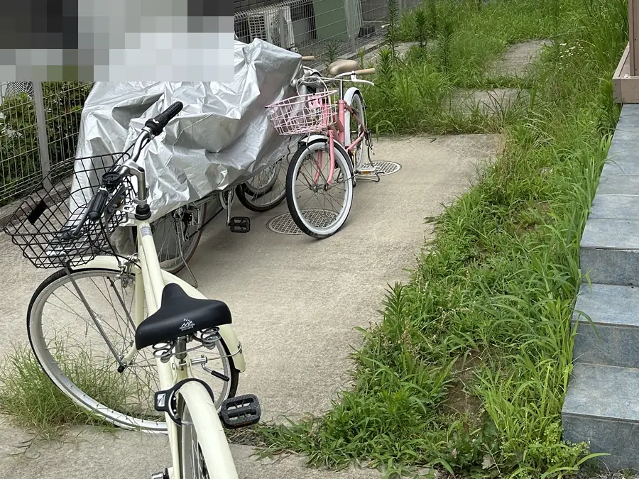 作業前。自転車を置いた通路のまわりに、背の高い草が一面に生い茂っている様子